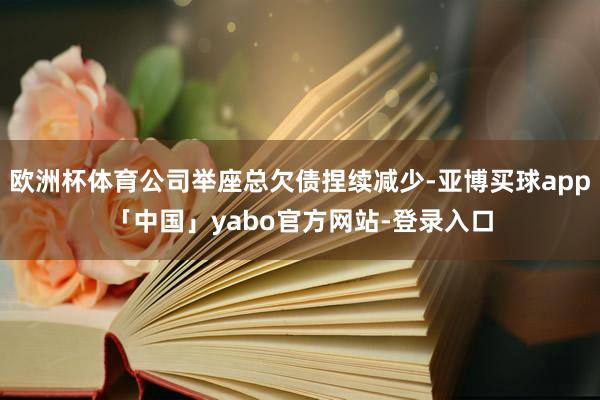 欧洲杯体育公司举座总欠债捏续减少-亚博买球app「中国」yabo官方网站-登录入口