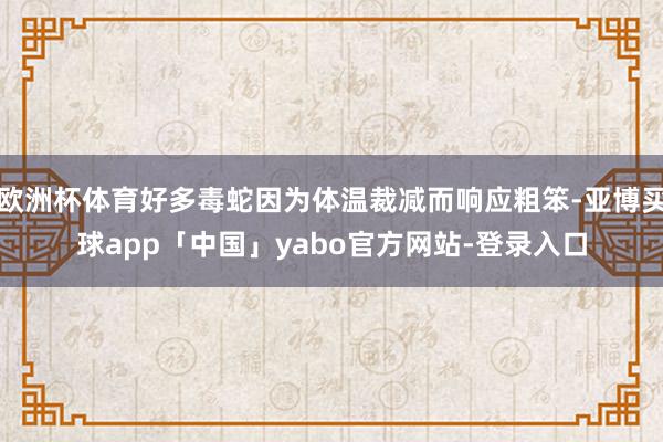 欧洲杯体育好多毒蛇因为体温裁减而响应粗笨-亚博买球app「中国」yabo官方网站-登录入口
