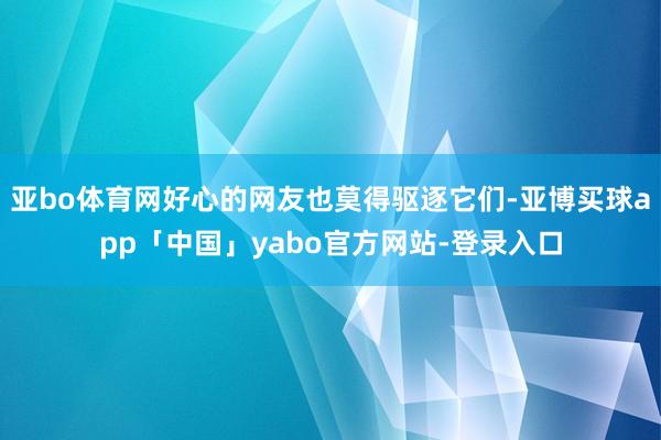 亚bo体育网好心的网友也莫得驱逐它们-亚博买球app「中国」yabo官方网站-登录入口