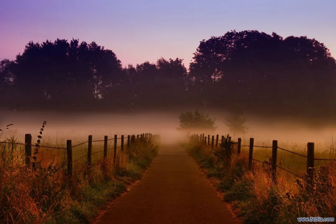 （图源：pixabay）